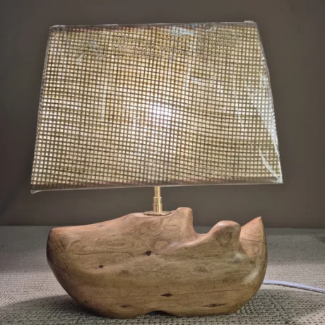 Petite lampe décorative